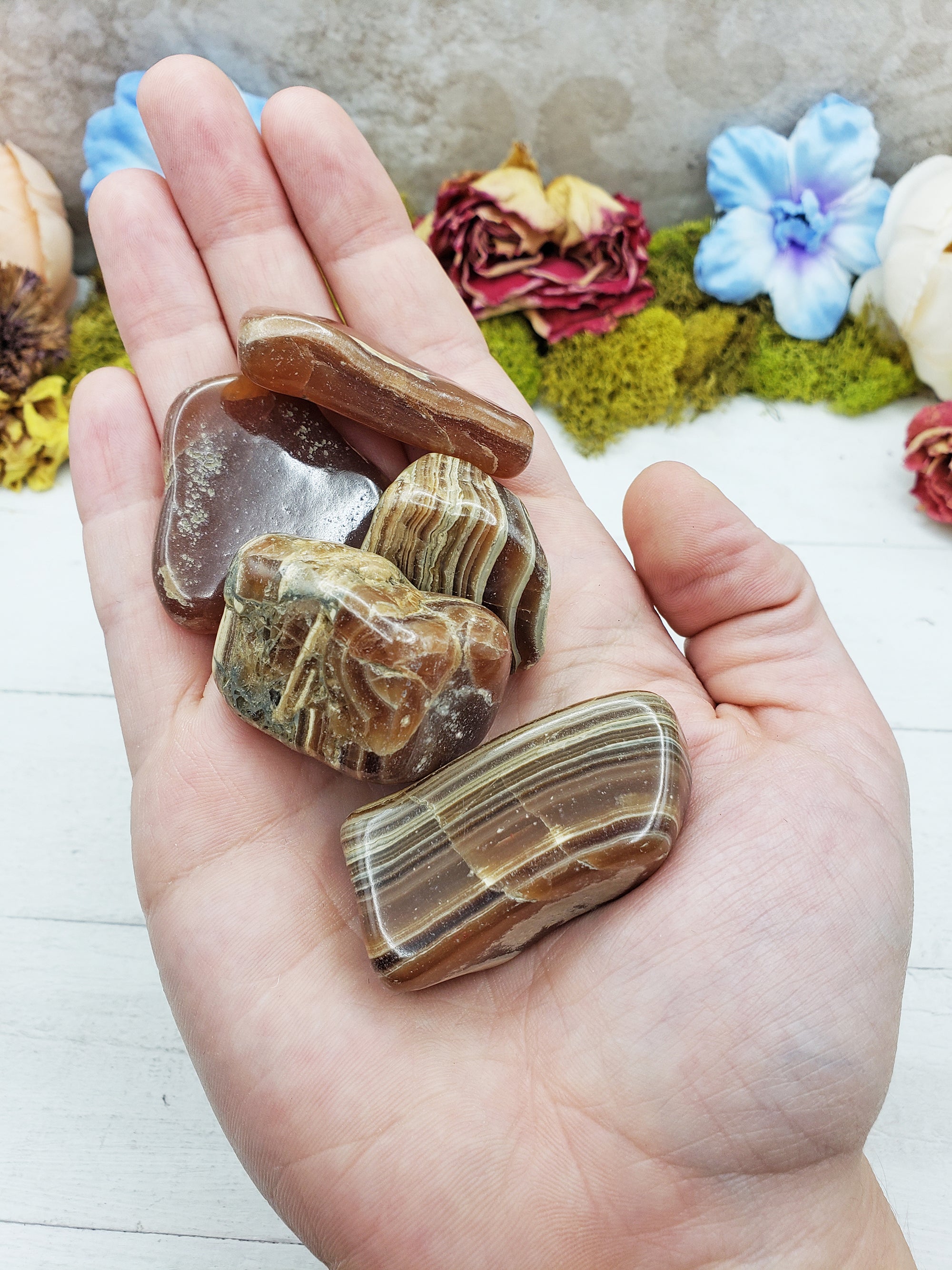 chocolate rhodocrosite stones in hand