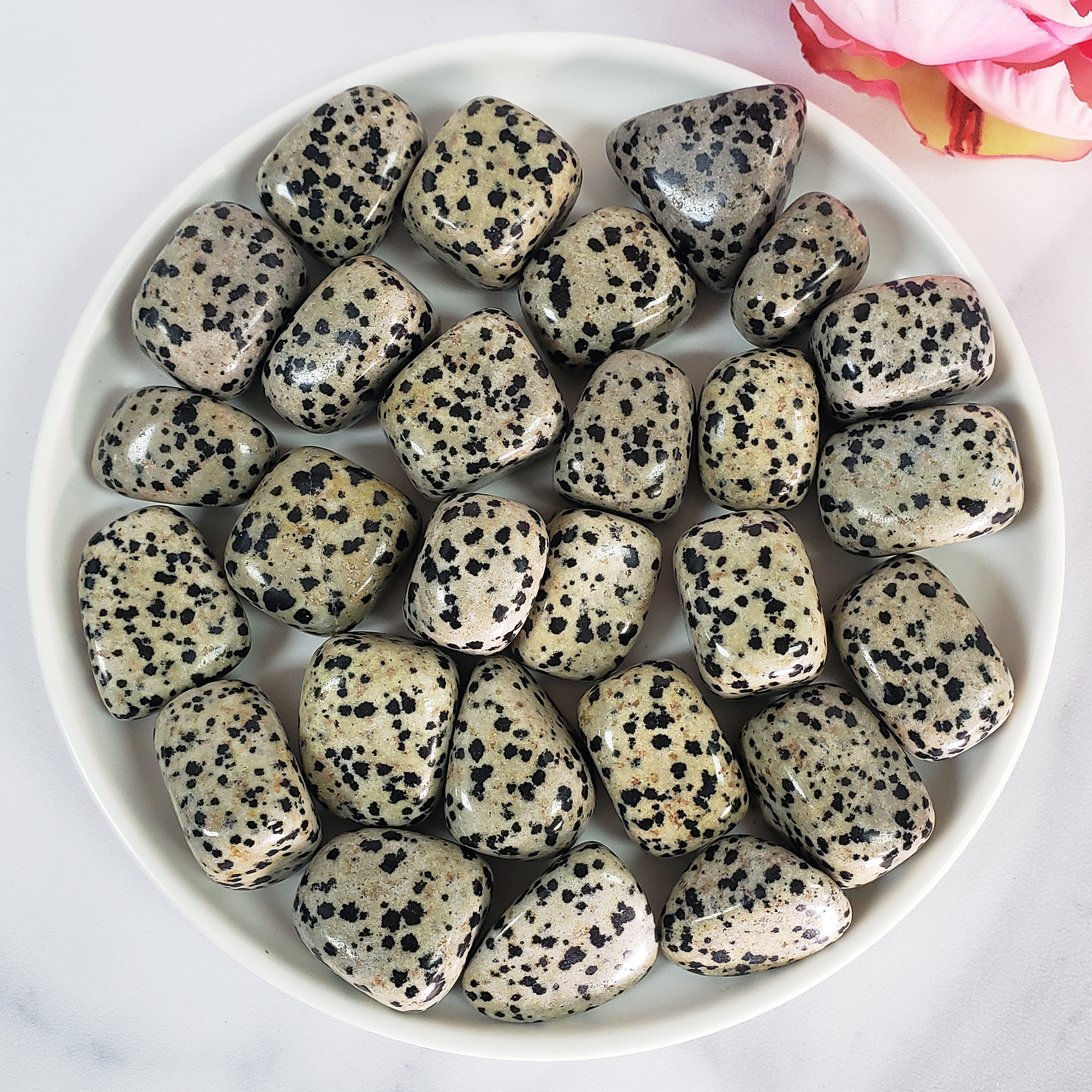 Dalmatian Jasper Crystal Natural Gemstone Tumbled Stone