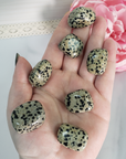 Dalmatian Jasper Crystal Natural Gemstone Tumbled Stone - 1