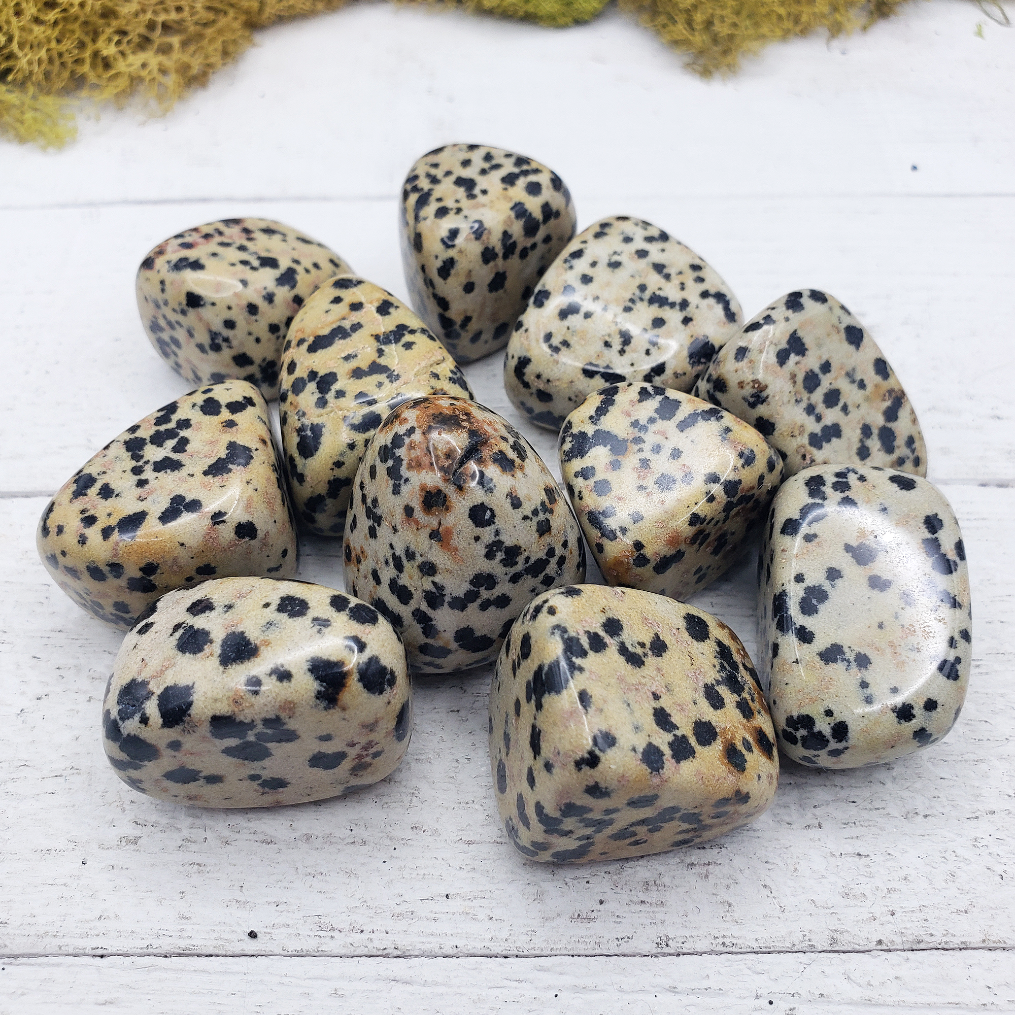 Dalmatian Jasper Crystal Natural Gemstone Tumbled Stone - 5