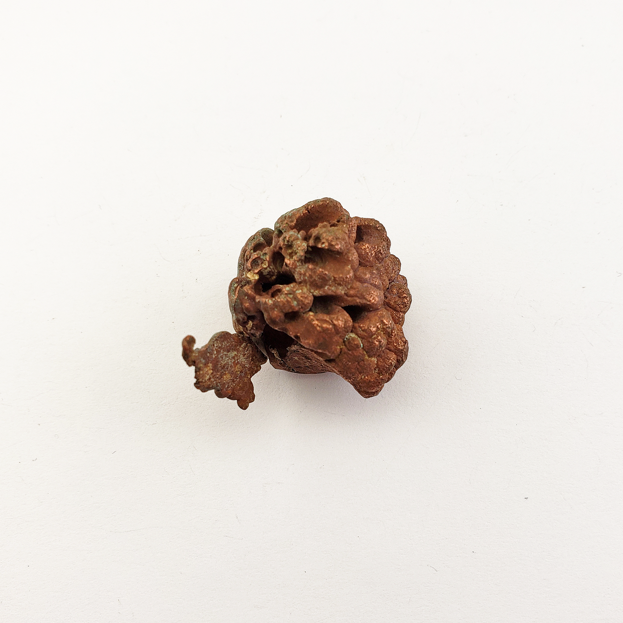 Unique Native Copper Nugget Formation Natural Gemstone | 1.5 oz | Dandelion