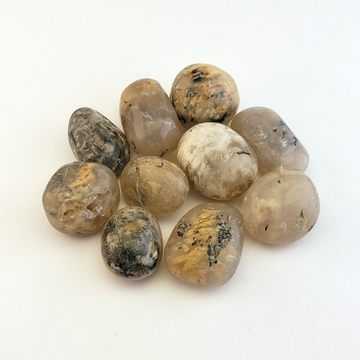 Dendritic Plume Agate Natural Tumbled Stone - One Stone