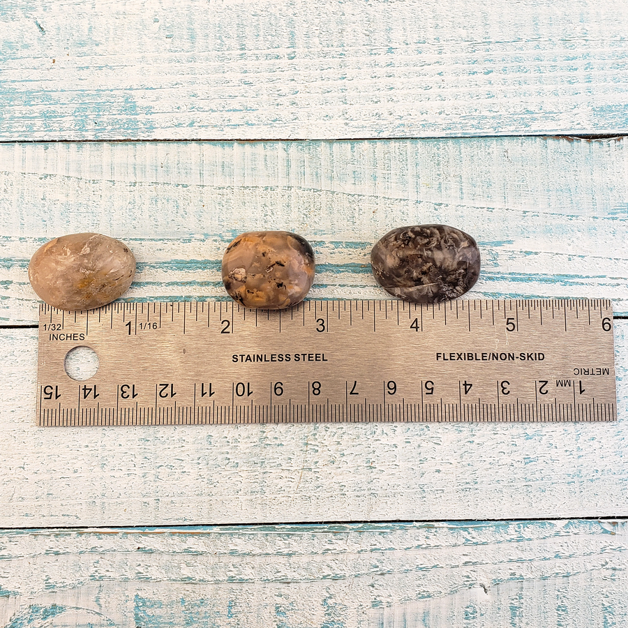 Dendritic Plume Agate Natural Tumbled Stone - One Stone - Measurement