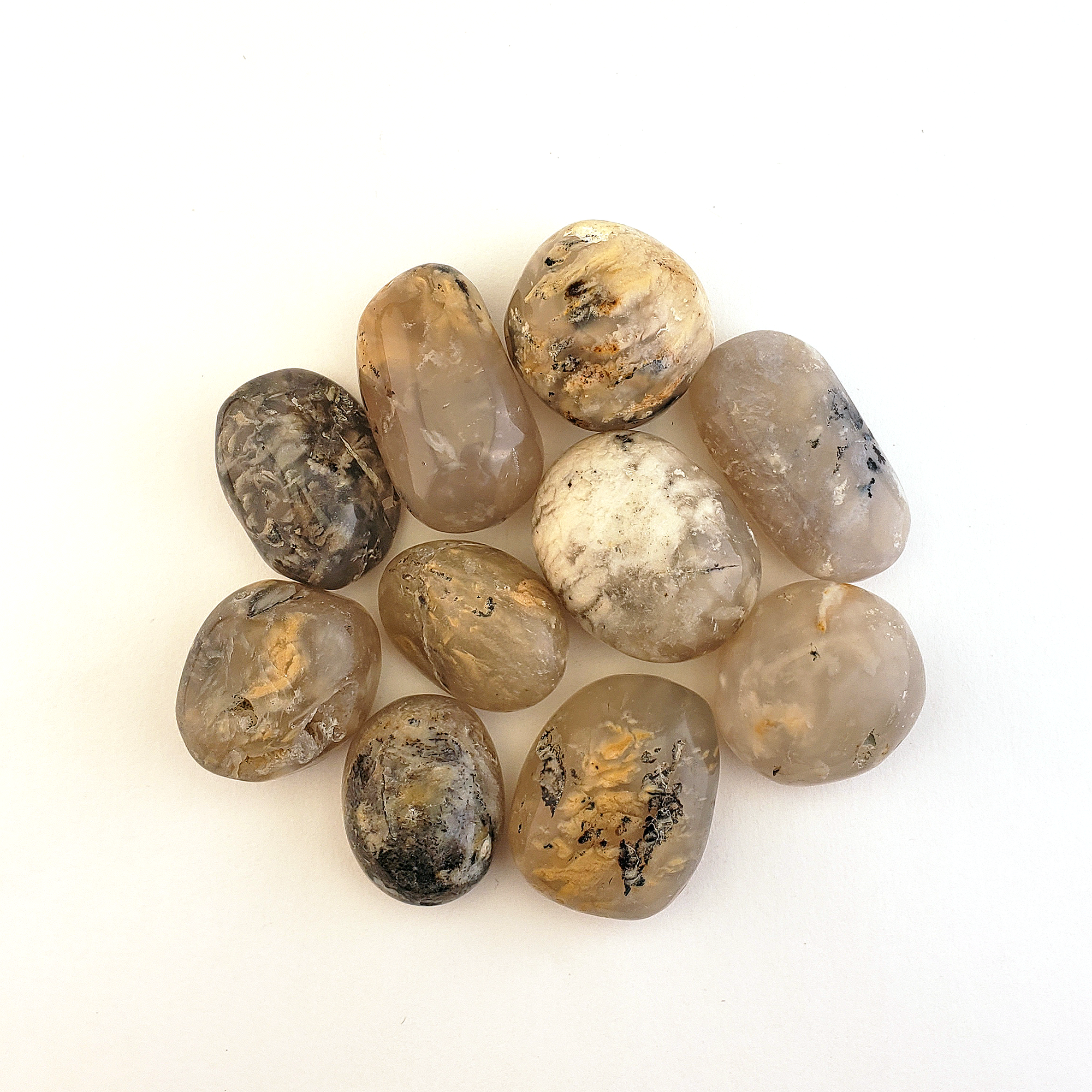 Dendritic Plume Agate Natural Tumbled Stone - One Stone - White Background
