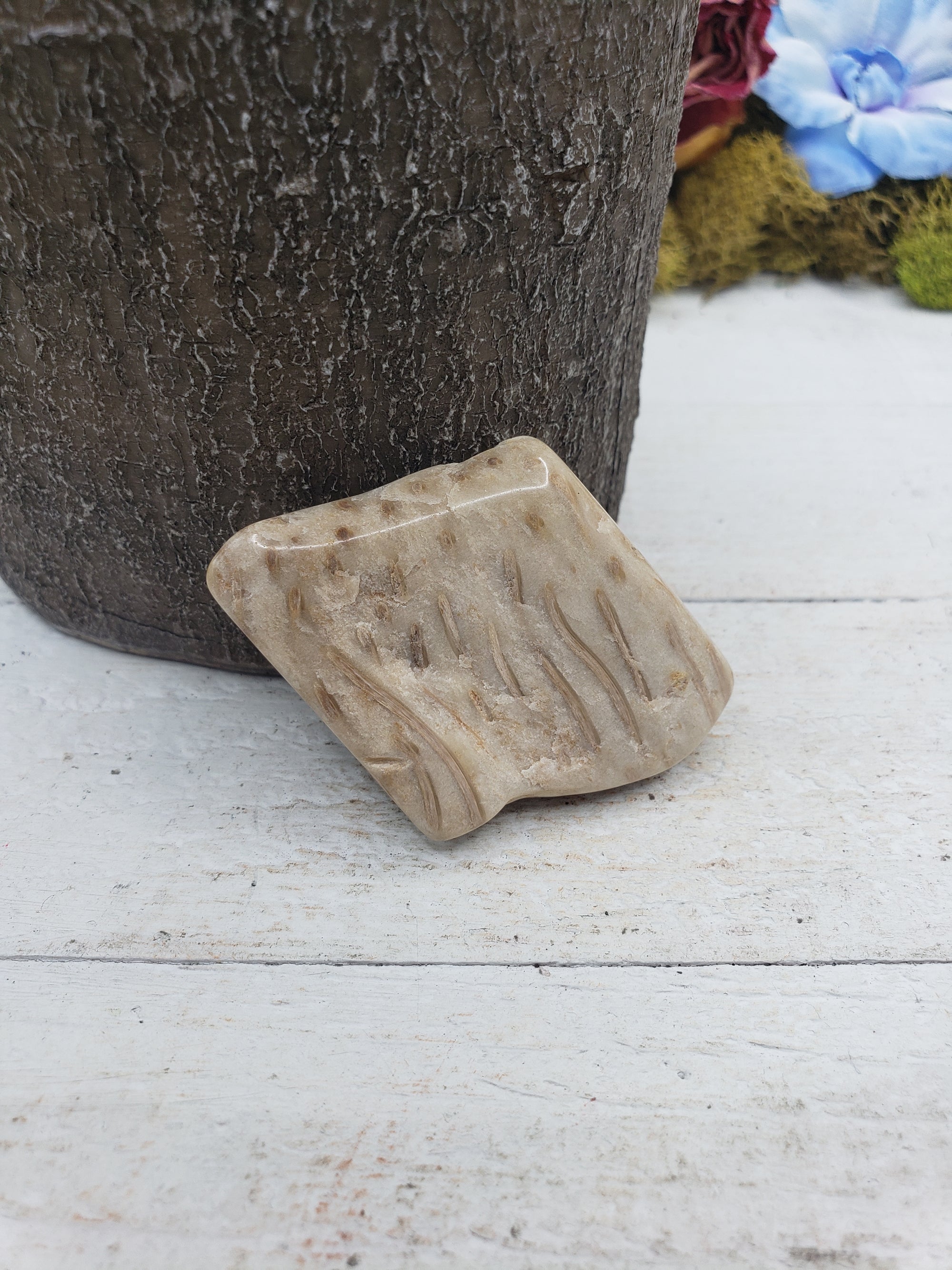 Unique Palm Wood Fossil Natural Crystal Slab - FELIX 1