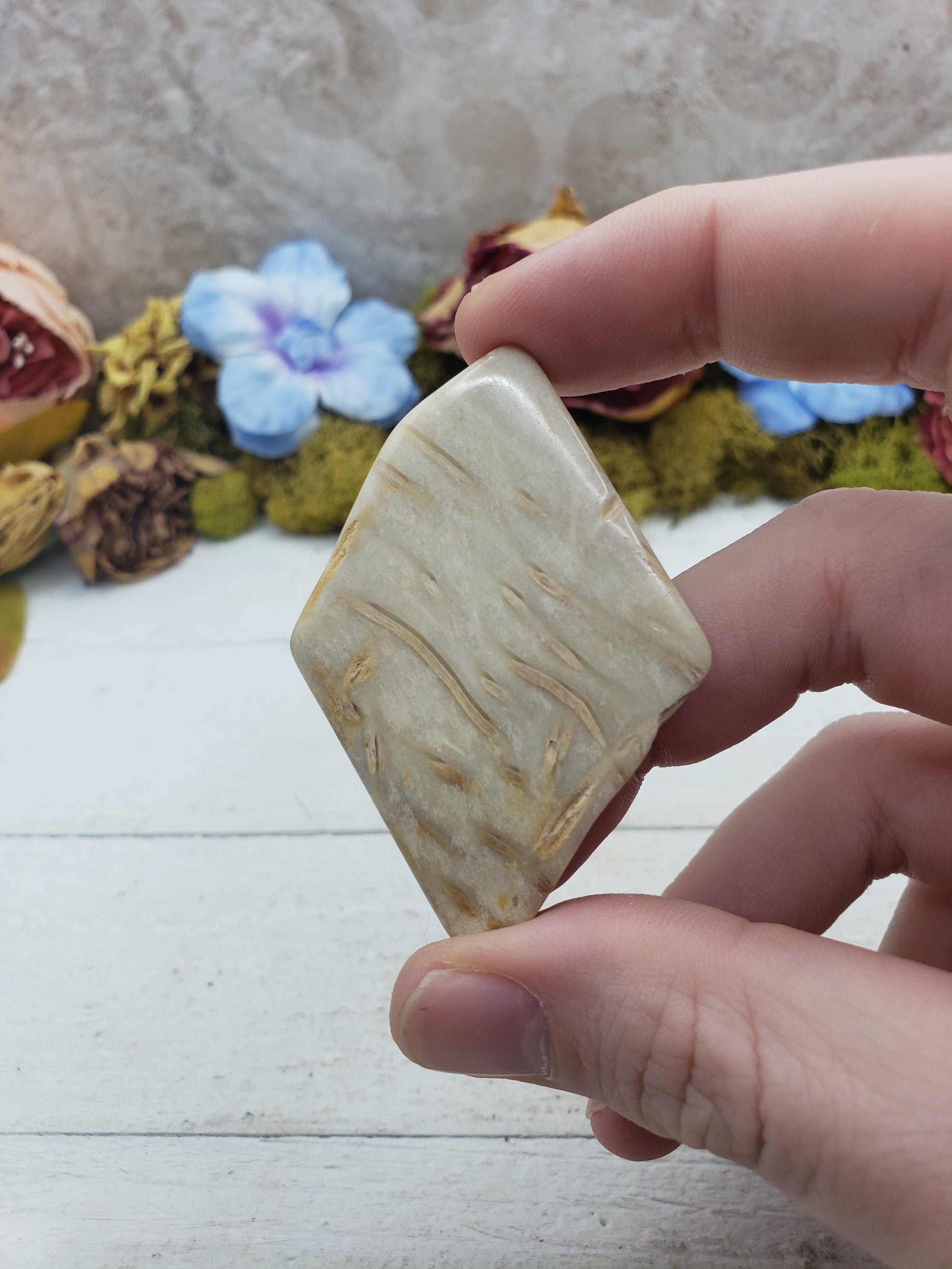 Unique Palm Wood Fossil Natural Crystal Slab - FELIX 5