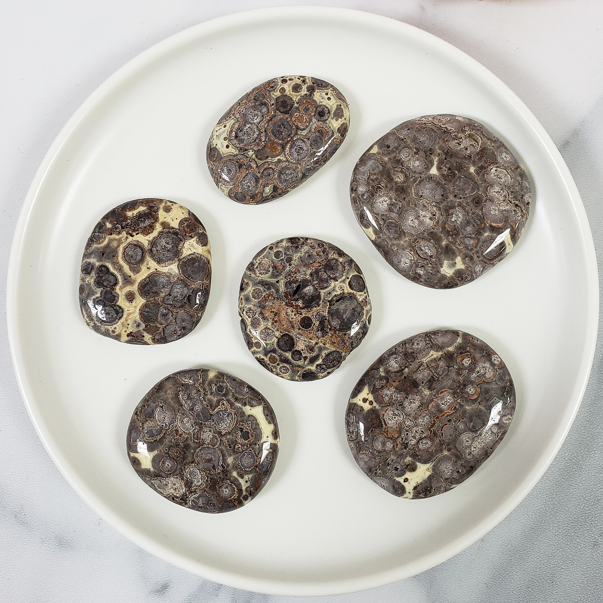 Gray Leopard Skin Jasper Natural Crystal Palm Stone Worry Stone Meditation Tool - IN WHITE BOWL