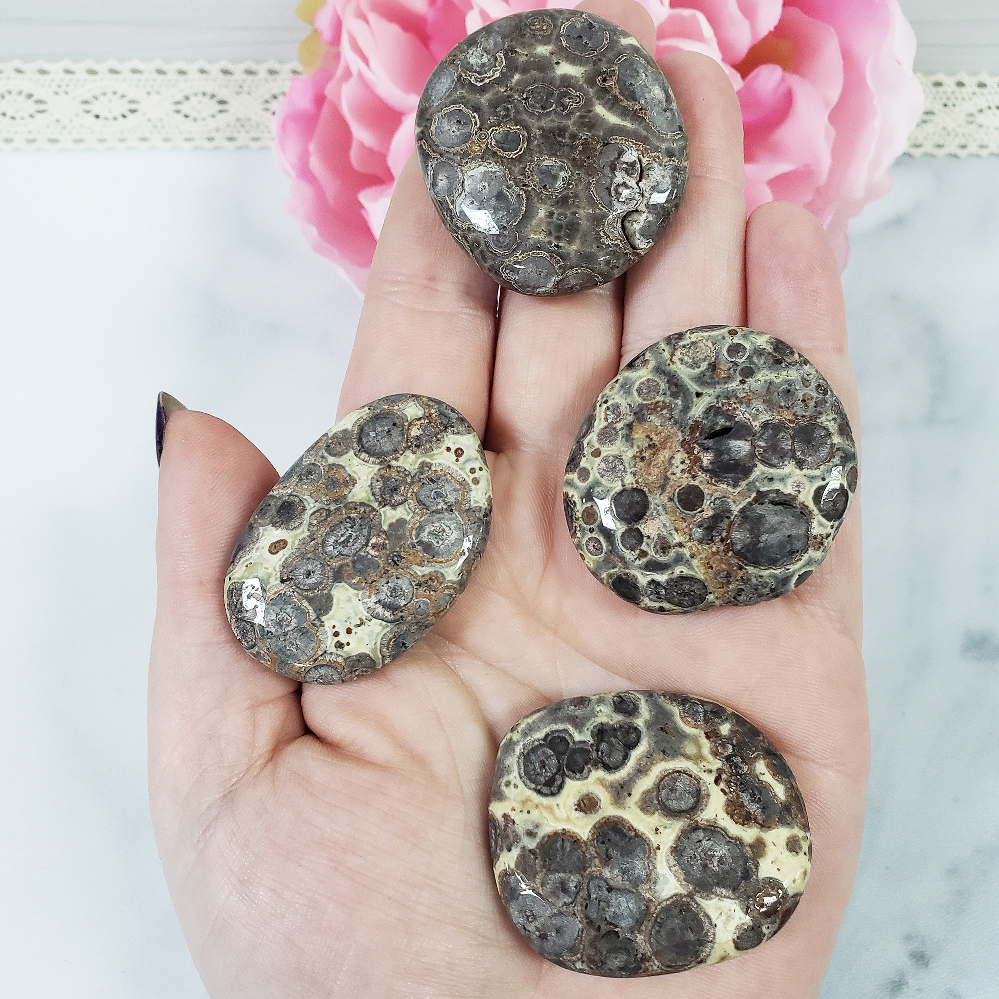 Gray Leopard Skin Jasper Natural Crystal Palm Stone Worry Stone Meditation Tool - IN HAND 2