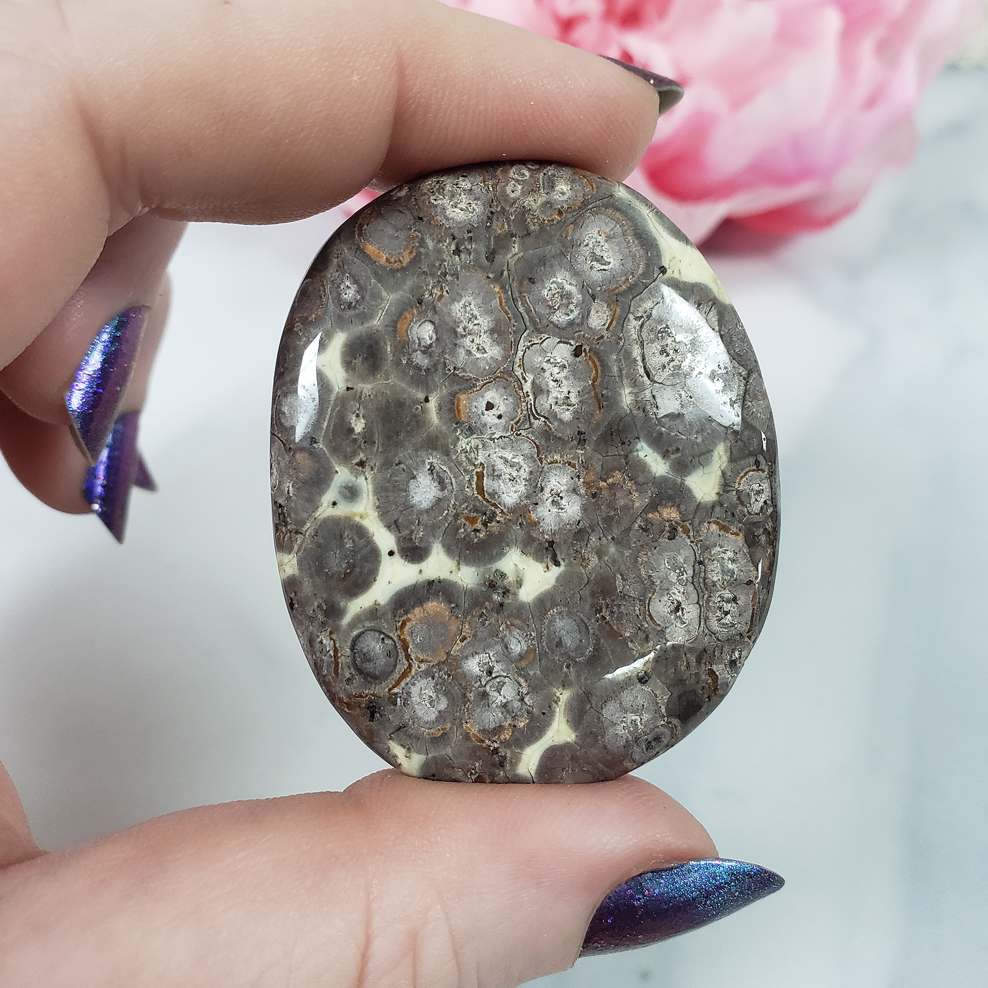 Gray Leopard Skin Jasper Natural Crystal Palm Stone Worry Stone Meditation Tool