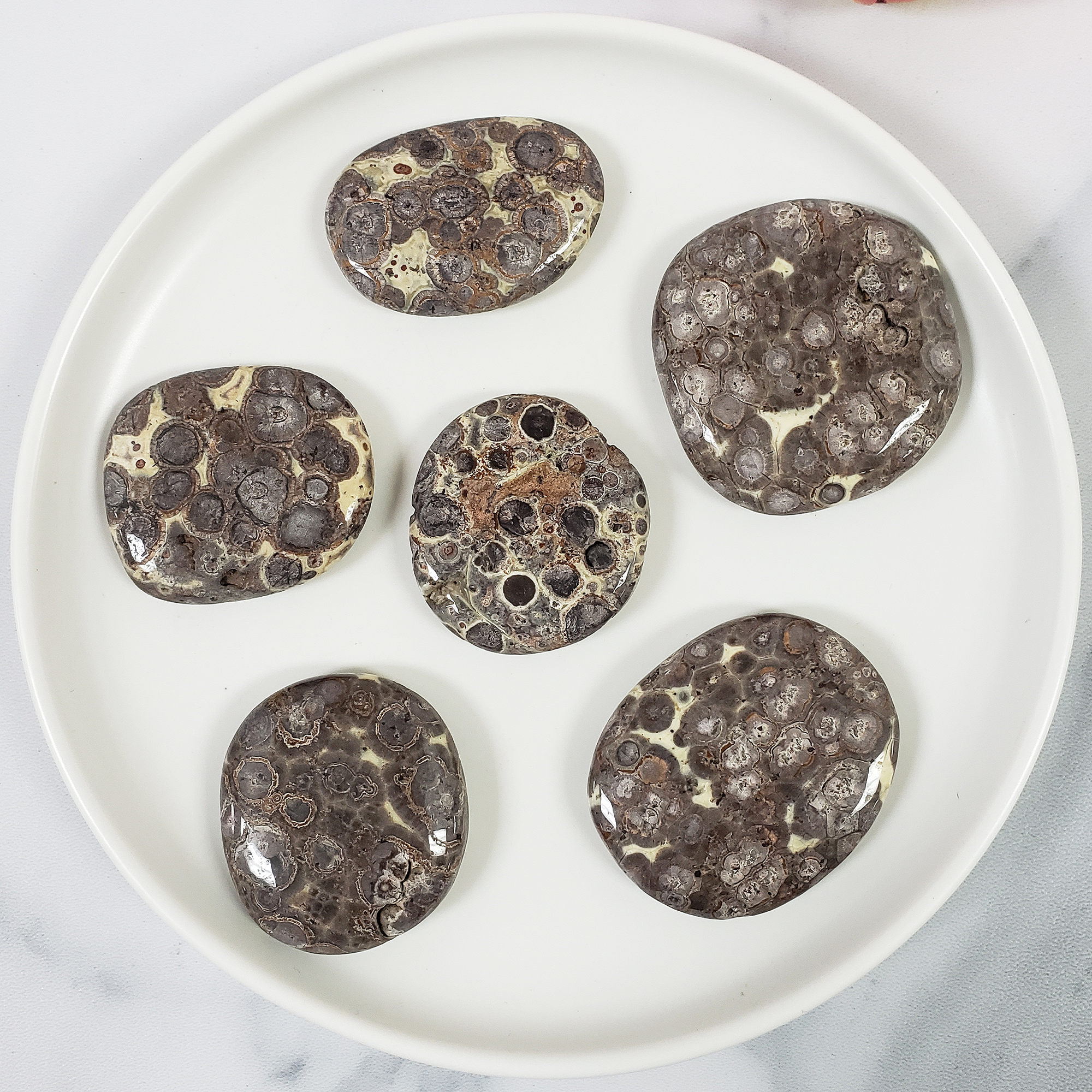 Gray Leopard Skin Jasper Natural Crystal Palm Stone Worry Stone Meditation Tool - IN WHITE BOWL 2