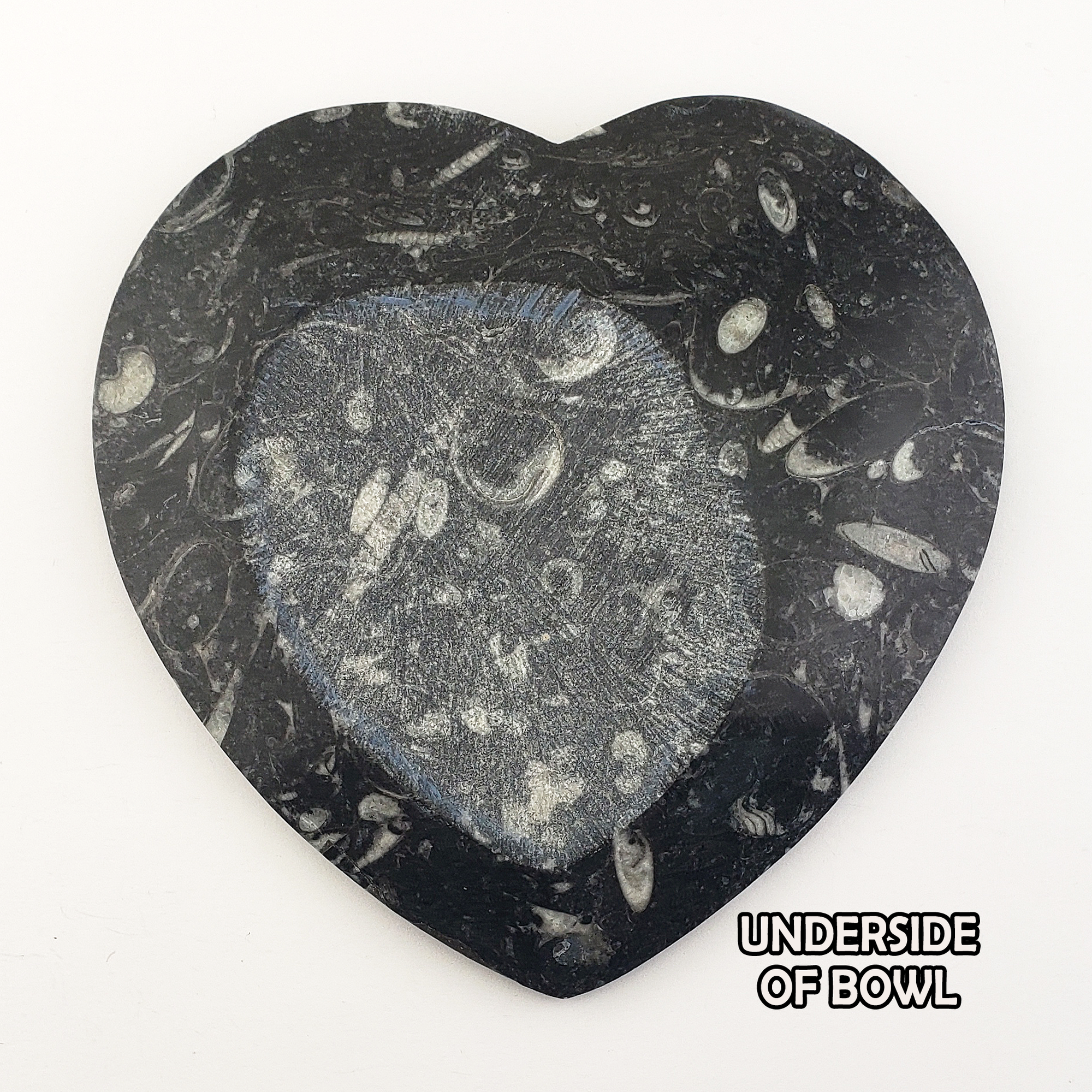 Unique Fossil Stone Bowl Natural Gemstone Jewelry Dish Offering Plate | Heart