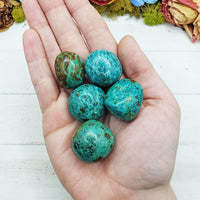 chrysocolla stones in hand