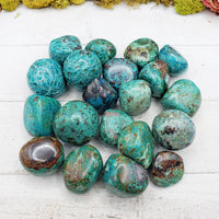 chrysocolla stones on display
