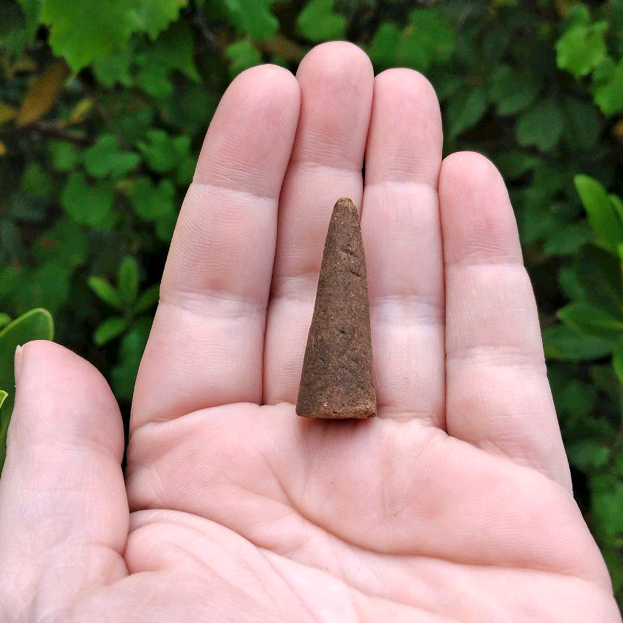 Forest Incense Cones | Ritual Incense For Cleansing & Offerings - 3