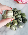 Infinite Serpentine Stone Natural Gemstone Tumbled Crystal - One Stone in Hand