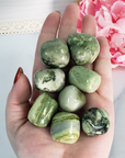 Infinite Serpentine Stone Natural Gemstone Tumbled Crystal - in Hand