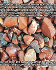 Jasper Crystal Confetti Natural Gemstone Chips Mix By the Ounce | Red Jasper, Snakeskin Jasper, Poppy Jasper, Flower Jasper, Jasper Hematite, & Brecciated Jasper - 2