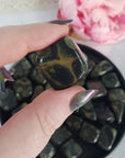 Kambaba Jasper Crocodile Jasper Crystal Natural Gemstone Tumbled Stone - 5
