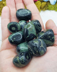Kambaba Jasper Crocodile Jasper Crystal Natural Gemstone Tumbled Stone - 4