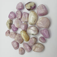 tumbled kunzite crystal pieces on display