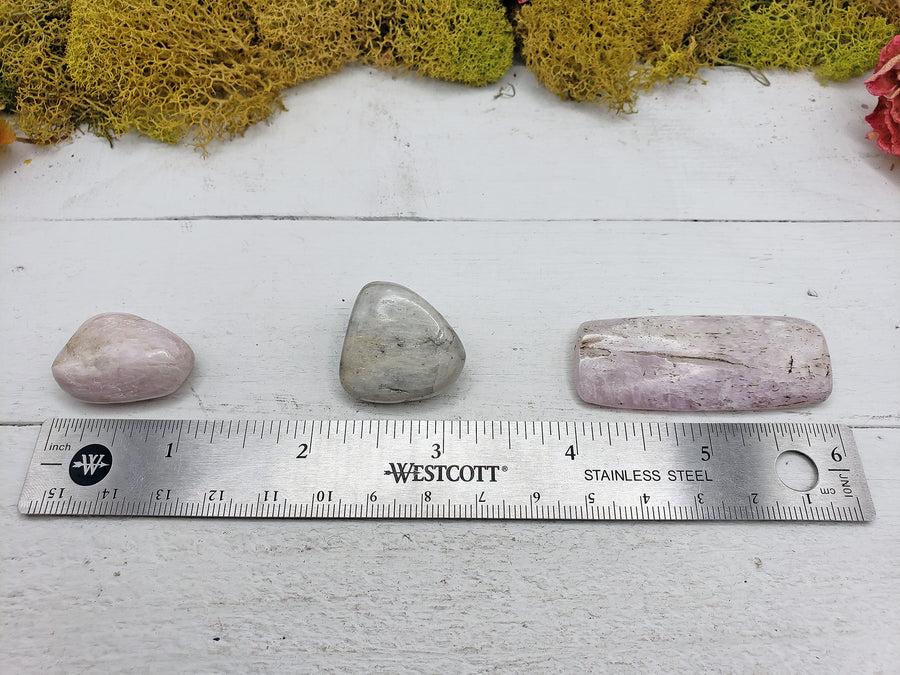 tumbled kunzite on ruler for size comparison