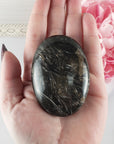 Unique Palm Root Fossilized Petrified Wood Natural Organic Gemstone Crystal Palm Stone | Laetitia - 4