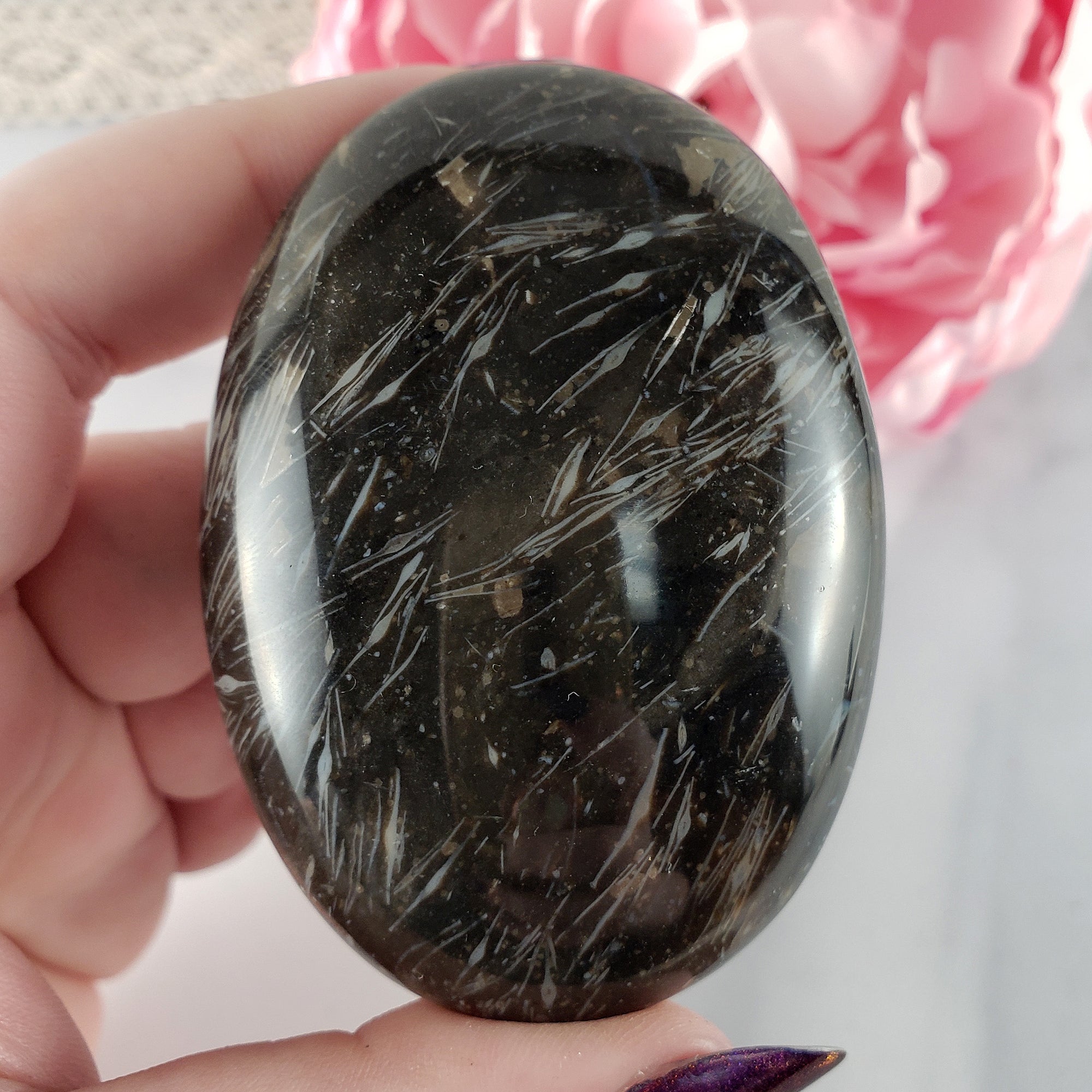 Unique Palm Root Fossilized Petrified Wood Natural Organic Gemstone Crystal Palm Stone | Laetitia