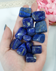 Lapis Lazuli Crystal Natural Gemstone Tumbled Stone | One Stone | Multiple Sizes! - 7