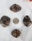 Chiastolite Andalusite Gemstone Natural Tumbled Stone | LARGE - Size Comparison