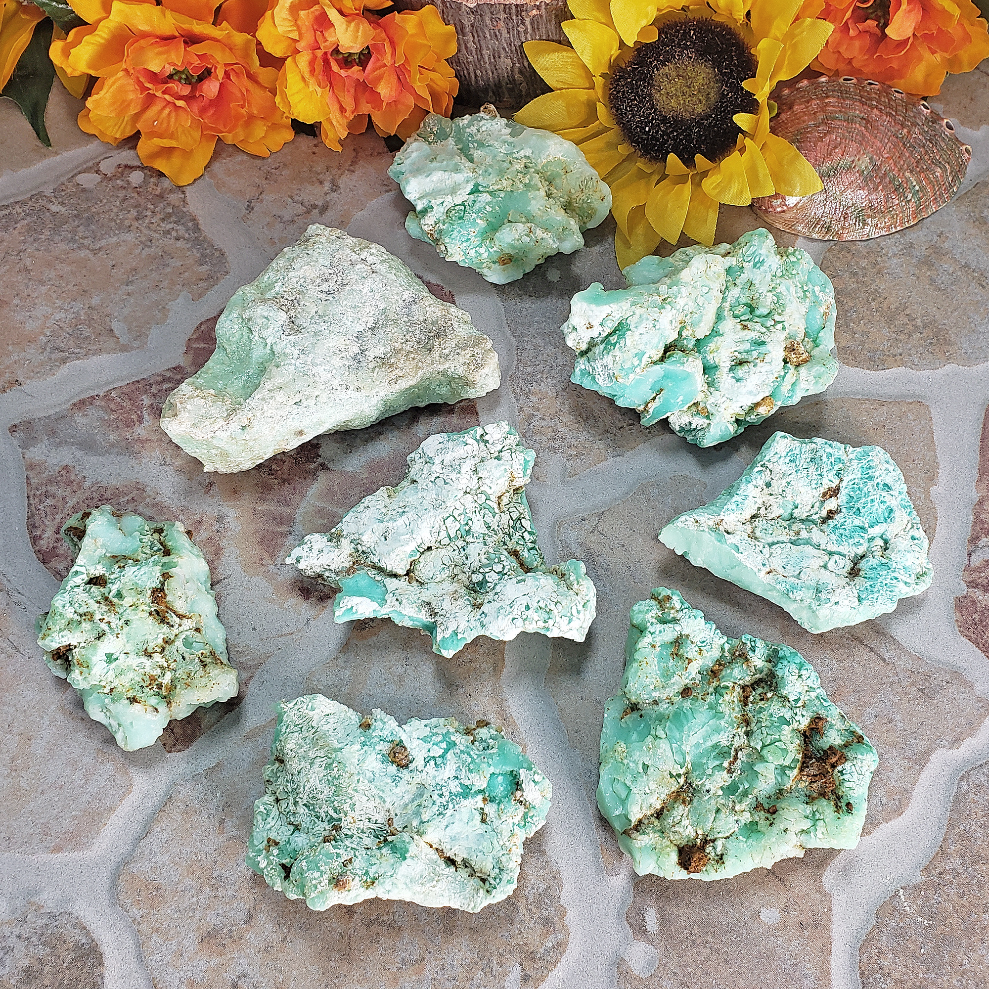 Chrysoprase Natural Raw Crystal Rough Gemstone - High Quality Large - All Pieces Grouped