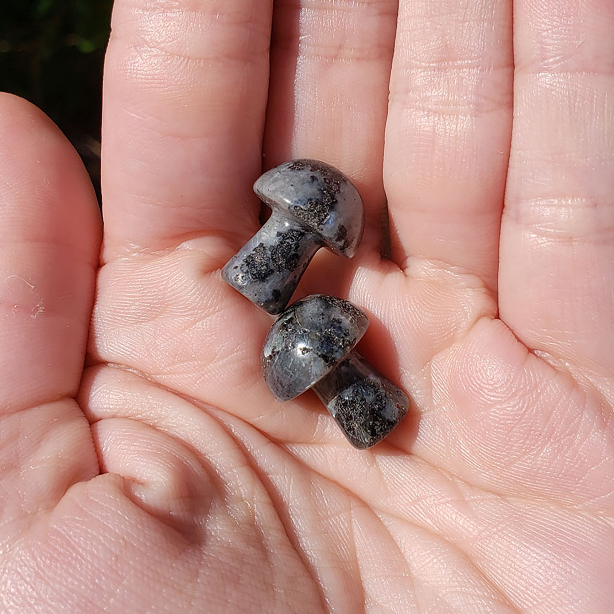 Larvikite Stone Natural Crystal Mushroom Toadstool Mini Carving - Close Up 4
