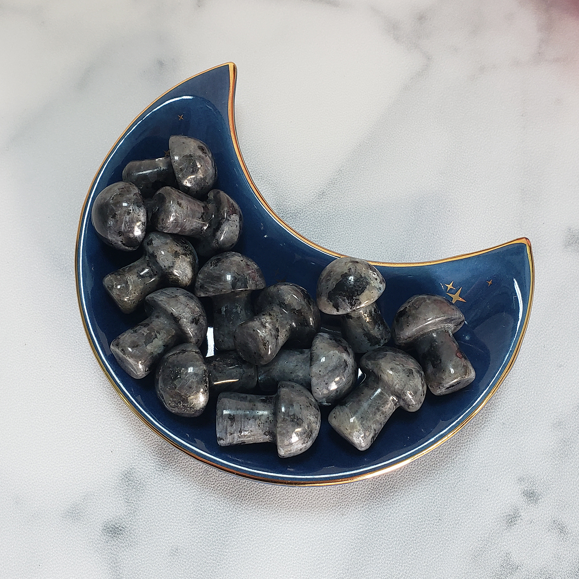 Larvikite Stone Natural Crystal Mushroom Toadstool Mini Carving - Gemstone Shrooms in Jewelry Dish