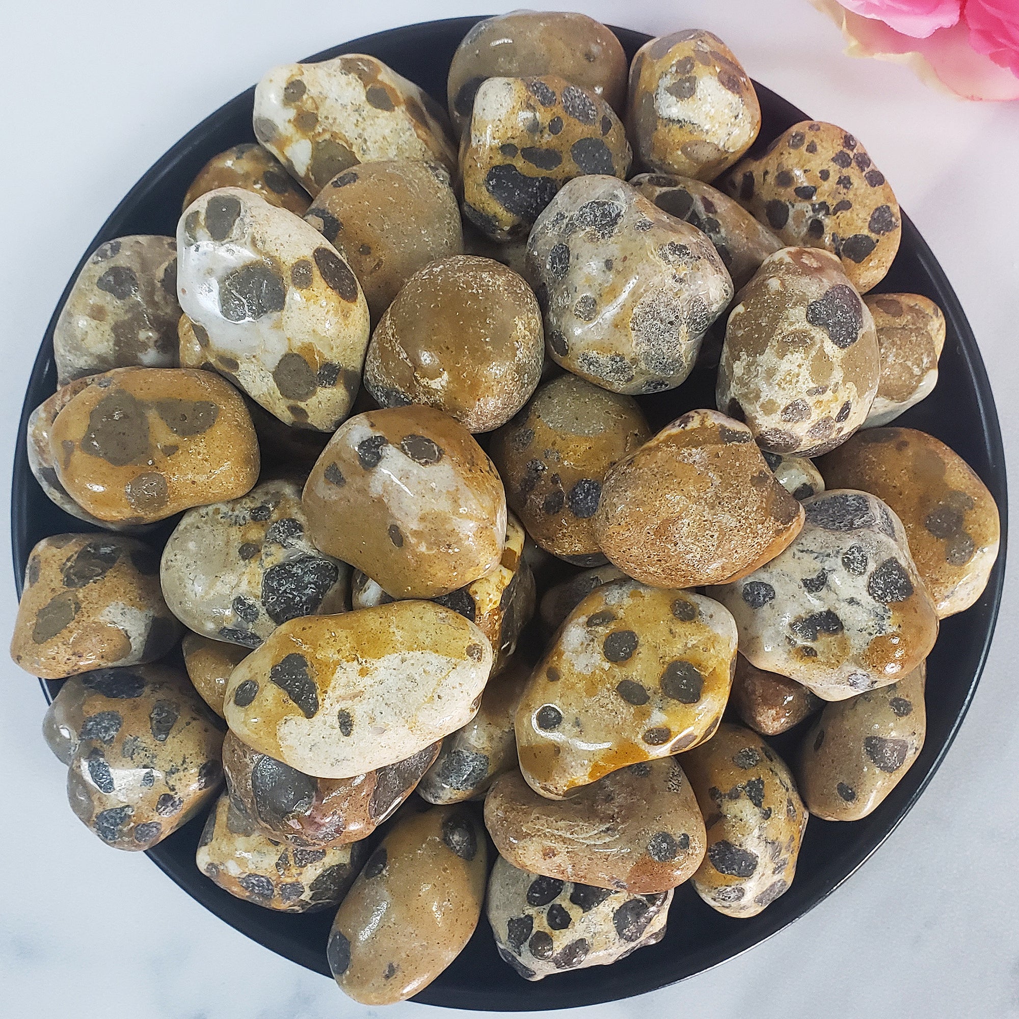 Leopardite Crystal Natural Gemstone Freeform Tumbled Stone - 1