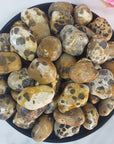 Leopardite Crystal Natural Gemstone Freeform Tumbled Stone - 1