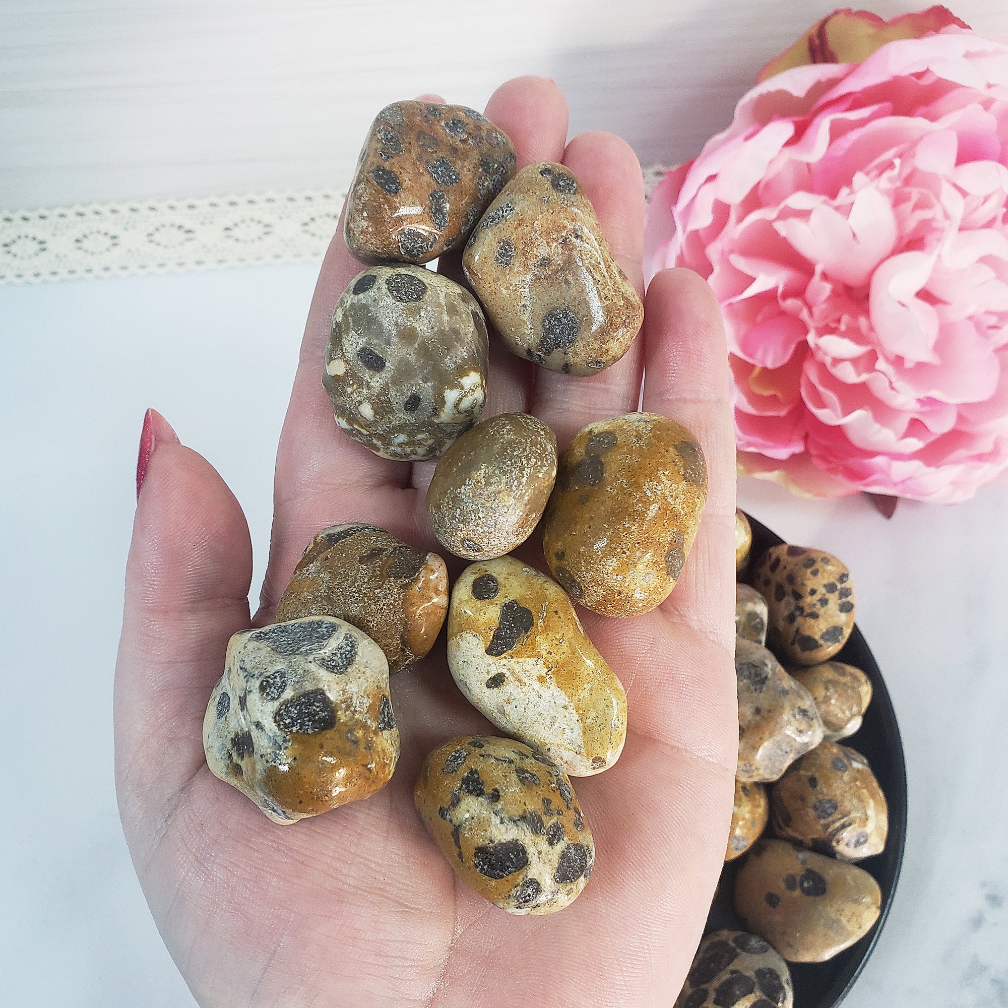 Leopardite Crystal Natural Gemstone Freeform Tumbled Stone - 4