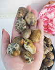 Leopardite Crystal Natural Gemstone Freeform Tumbled Stone - 4