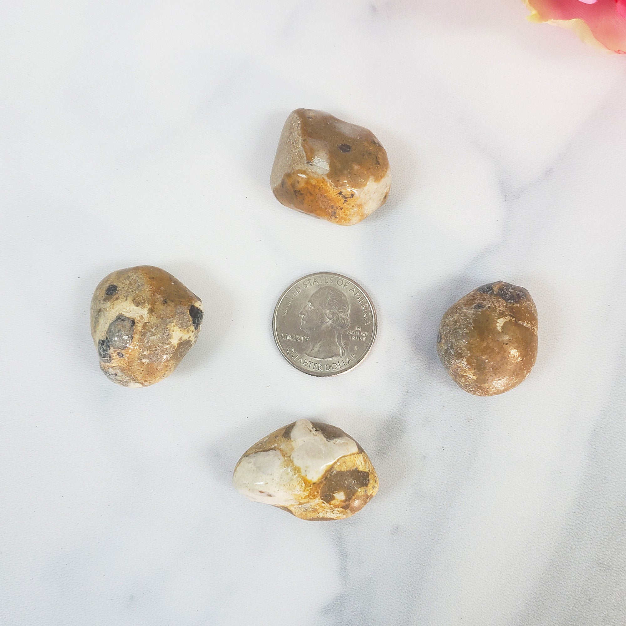 Leopardite Crystal Natural Gemstone Freeform Tumbled Stone - 3