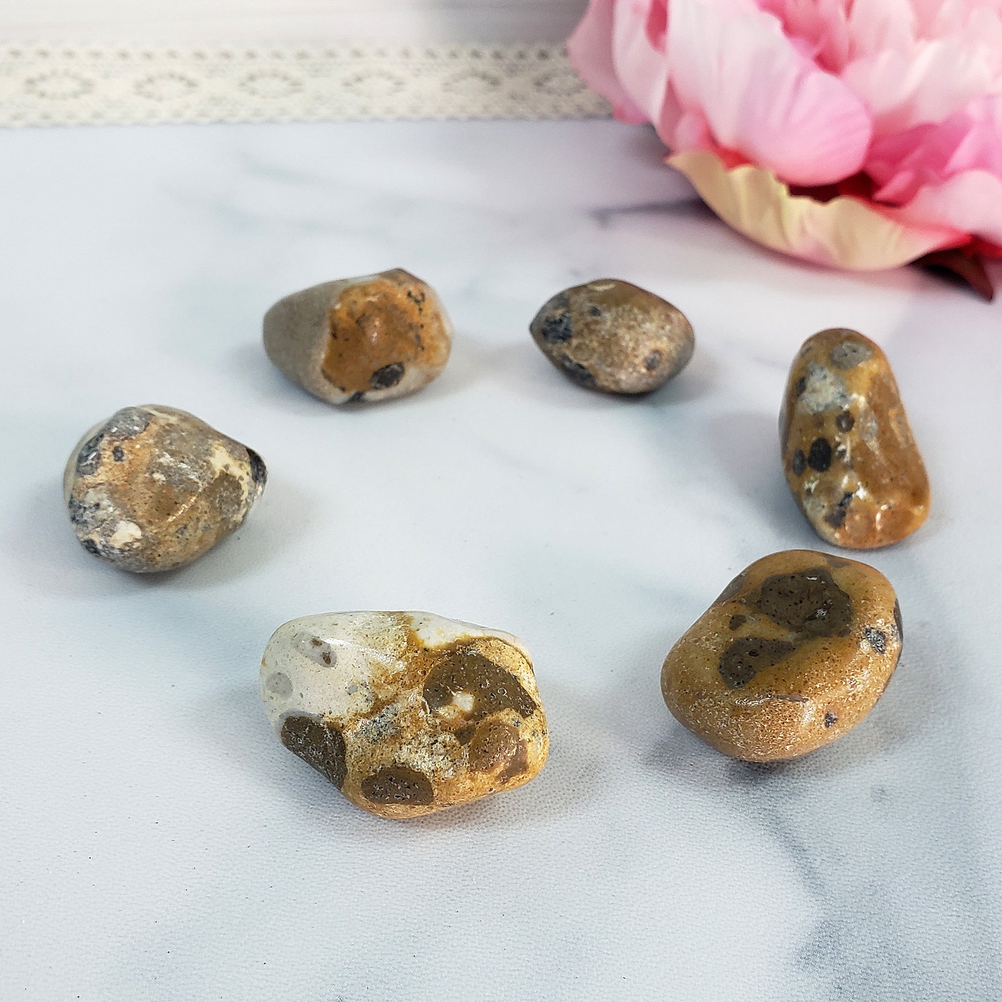 Leopardite Crystal Natural Gemstone Freeform Tumbled Stone - 5