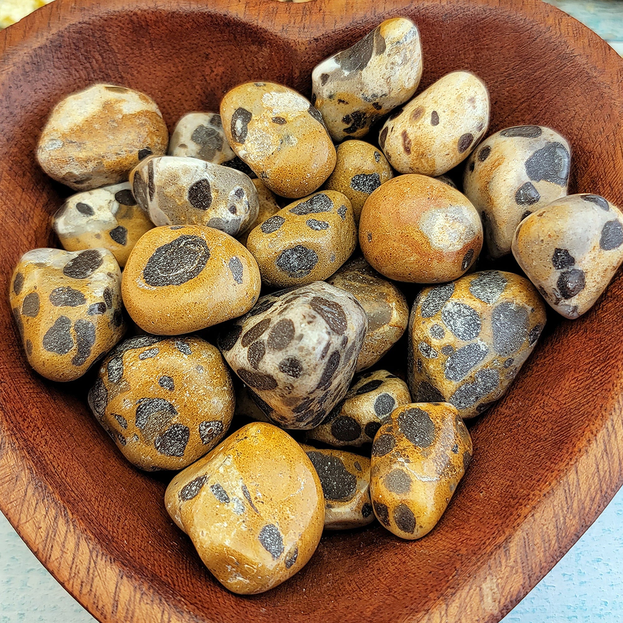 Leopardite Crystal Natural Gemstone Freeform Tumbled Stone