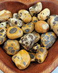 Leopardite Crystal Natural Gemstone Freeform Tumbled Stone
