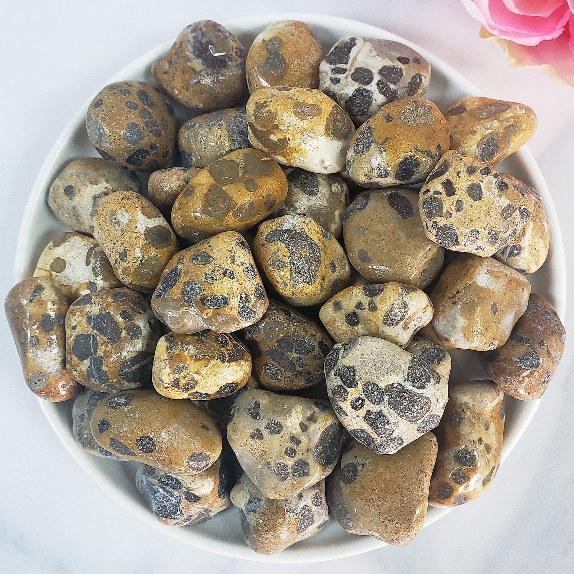 Leopardite Crystal Natural Gemstone Freeform Tumbled Stone - 6