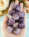 Lepidolite Natural Tumbled Stone - One Stone - In Hand