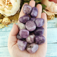 Lepidolite Natural Tumbled Stone - One Stone - In Hand