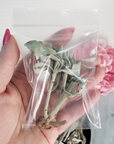 Loose White Sage Leaves & Stems Natural Dried Herb for Smudging | 3 Grams - 4