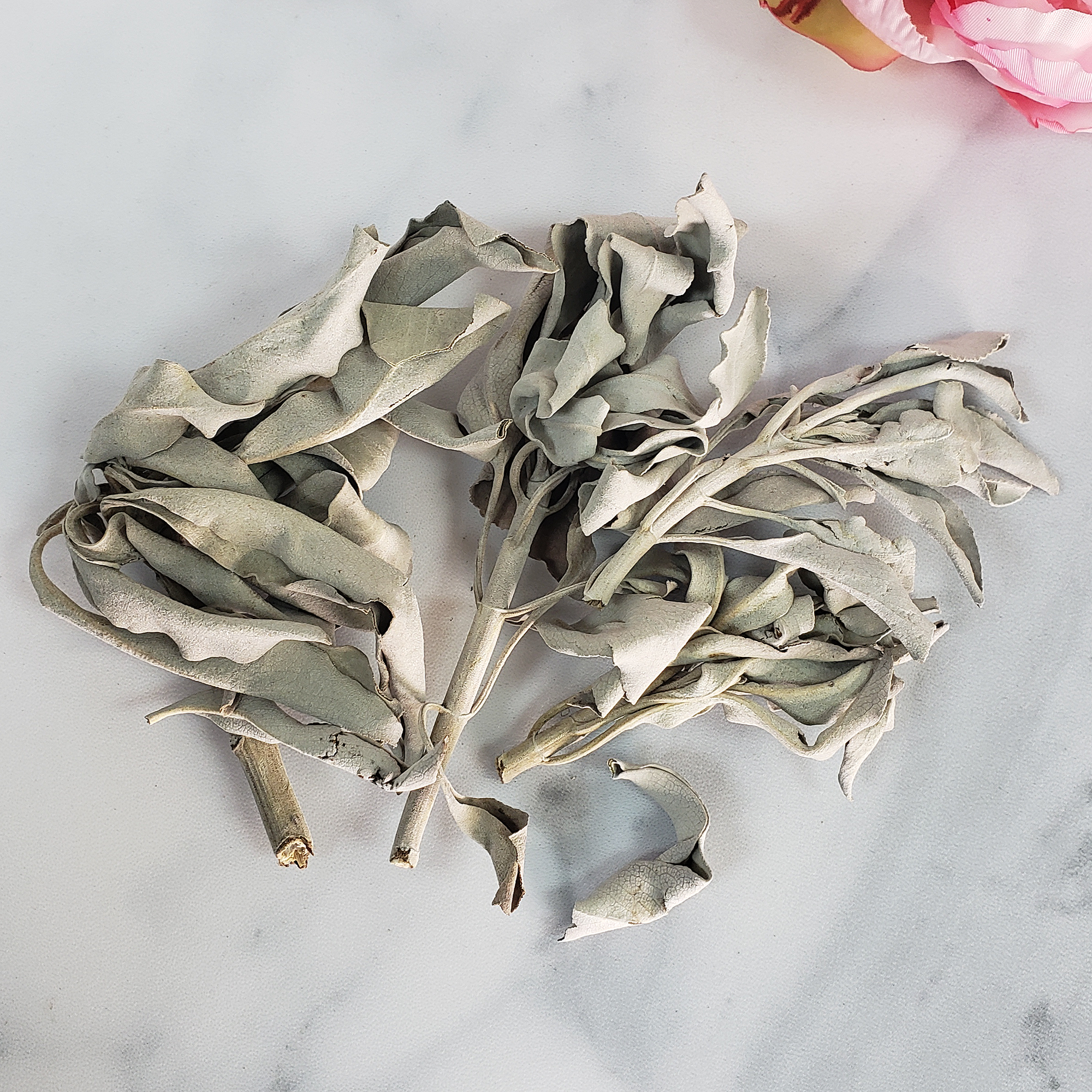 Loose White Sage Leaves & Stems Natural Dried Herb for Smudging | 3 Grams - 1