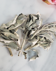 Loose White Sage Leaves & Stems Natural Dried Herb for Smudging | 3 Grams - 1