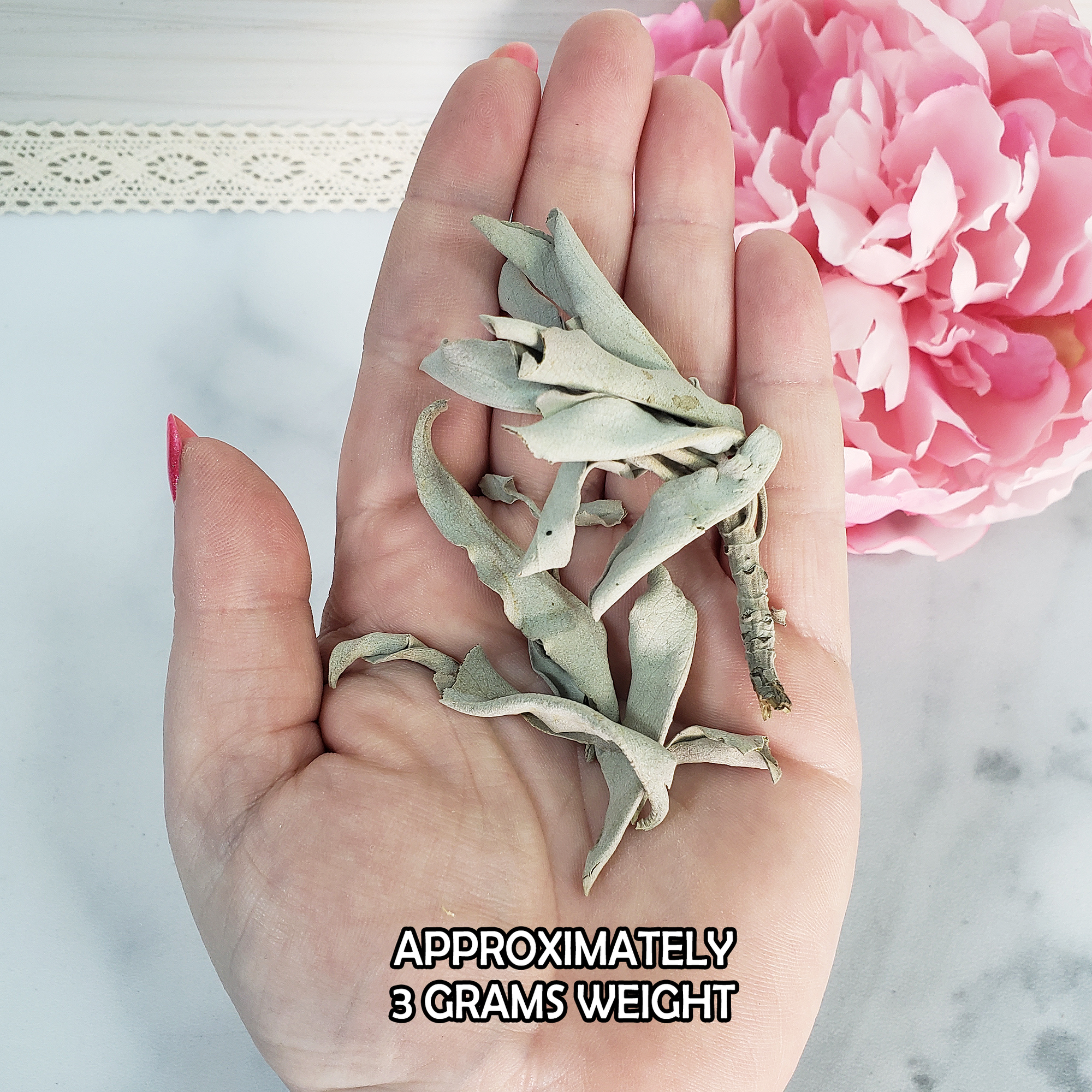 Loose White Sage Leaves & Stems Natural Dried Herb for Smudging | 3 Grams - 2