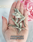 Loose White Sage Leaves & Stems Natural Dried Herb for Smudging | 3 Grams - 2