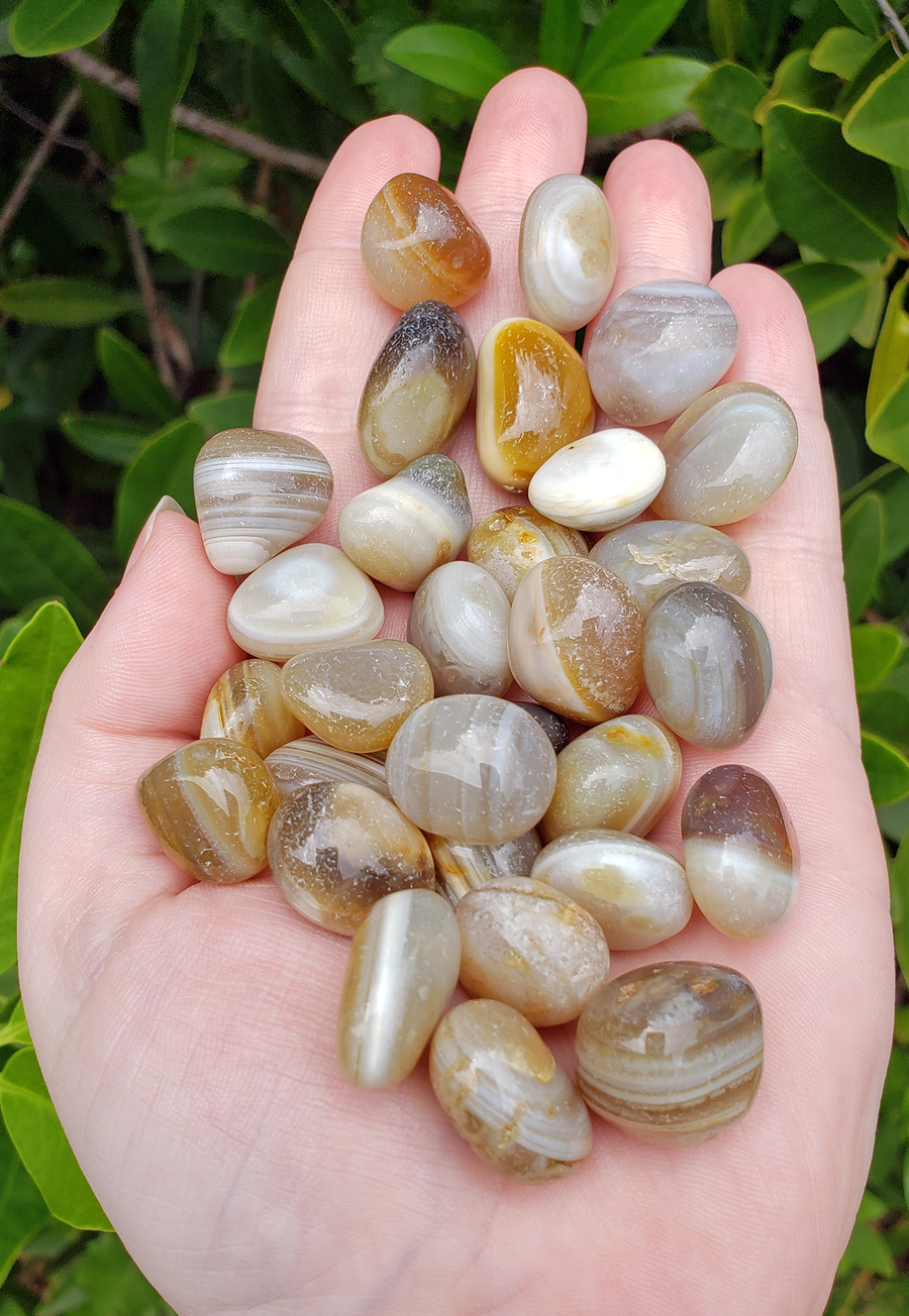 Marble Banded Agate Natural Tumbled Gemstone - Stone of Protection and Power - 0.5" - 1"