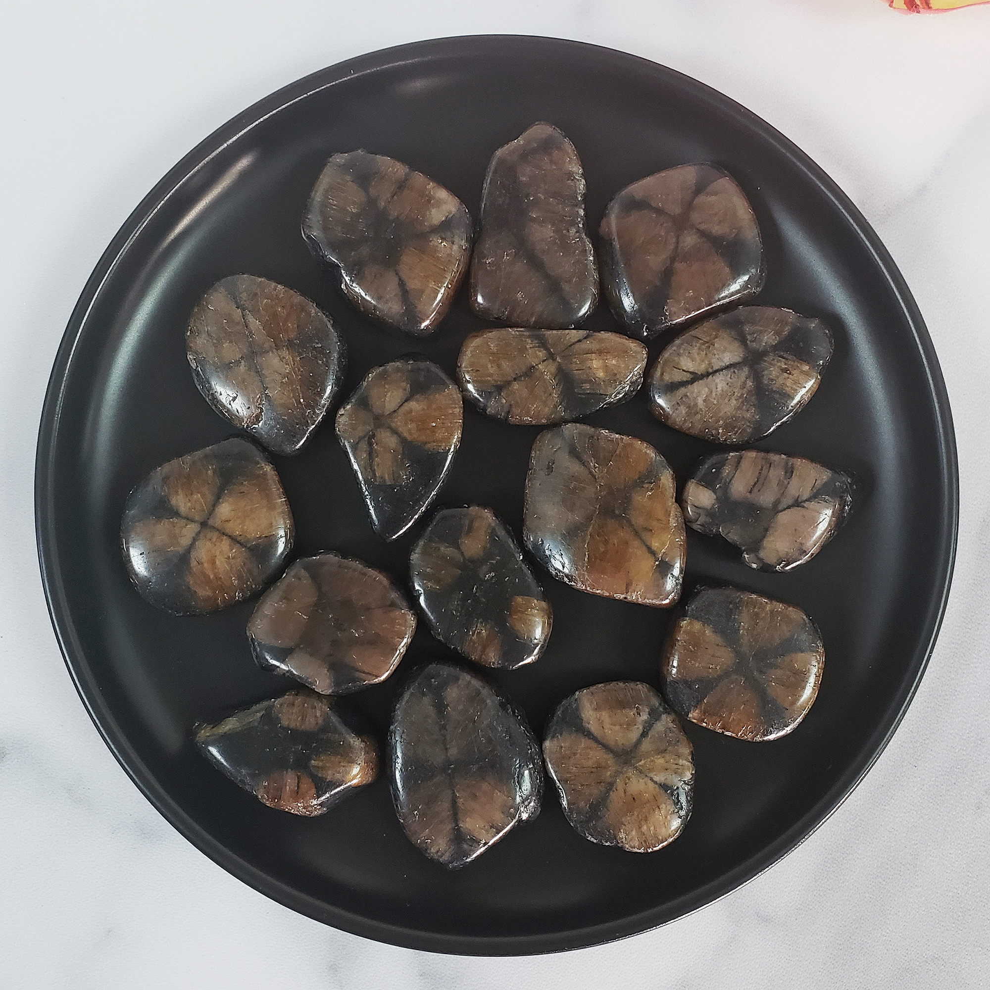 Chiastolite Andalusite Gemstone Natural Tumbled Stone | MEDIUM - in Black Ceramic Dish